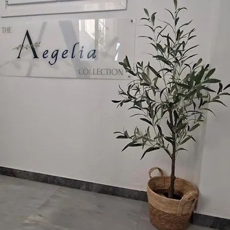 Apartment The Aegelia Collection
